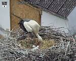 Capi_Dubne_20260524_163502.jpg