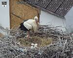Capi_Dubne_20260524_165003.jpg