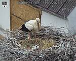 Capi_Dubne_20260524_165503.jpg