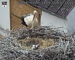 Capi_Dubne_20260524_171502.jpg