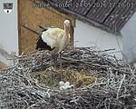 Capi_Dubne_20260524_172003.jpg
