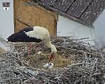 Capi_Dubne_20260524_183503.jpg
