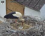 Capi_Dubne_20260524_185503.jpg