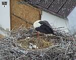 Capi_Dubne_20260524_192003.jpg
