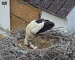 Capi_Dubne_20260524_193002.jpg