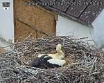 Capi_Dubne_20260524_195003.jpg