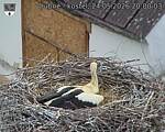 Capi_Dubne_20260524_200003.jpg