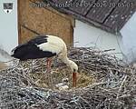 Capi_Dubne_20260524_200503.jpg
