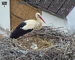 Capi_Dubne_20260524_201003.jpg