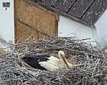 Capi_Dubne_20260524_202503.jpg