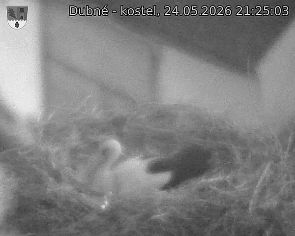 preload