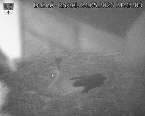 preload