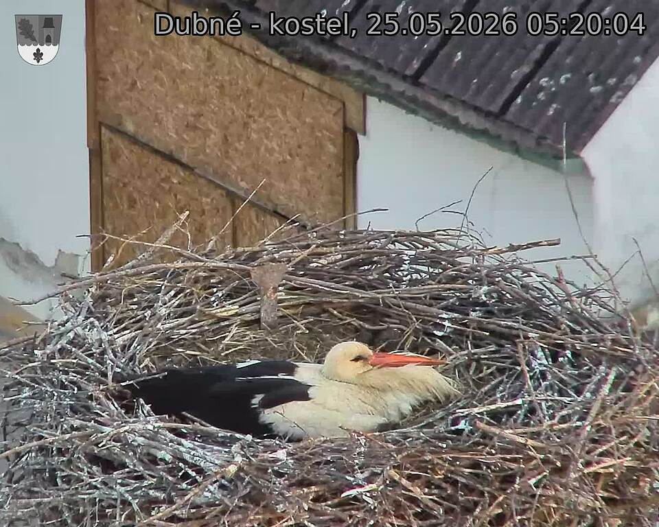 preload