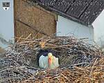 Capi_Dubne_20260525_054002.jpg