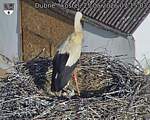 Capi_Dubne_20260525_071503.jpg