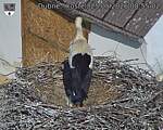 Capi_Dubne_20260525_085502.jpg