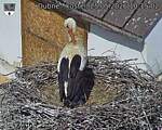 Capi_Dubne_20260525_101502.jpg
