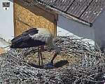 Capi_Dubne_20260525_131502.jpg
