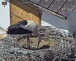 Capi_Dubne_20260525_133503.jpg