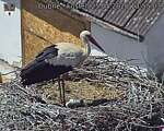 Capi_Dubne_20260525_135503.jpg