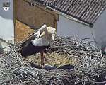 Capi_Dubne_20260525_145502.jpg