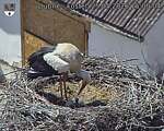 Capi_Dubne_20260525_150004.jpg