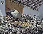 Capi_Dubne_20260525_152502.jpg