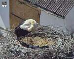 Capi_Dubne_20260525_153003.jpg