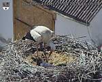 Capi_Dubne_20260525_160504.jpg