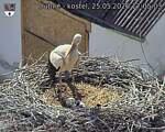 Capi_Dubne_20260525_170503.jpg