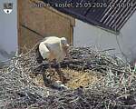 Capi_Dubne_20260525_171004.jpg