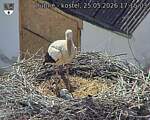 Capi_Dubne_20260525_171503.jpg