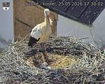 Capi_Dubne_20260525_173002.jpg