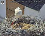 Capi_Dubne_20260525_174003.jpg