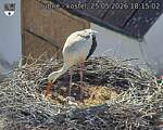 Capi_Dubne_20260525_181502.jpg