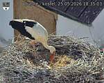 Capi_Dubne_20260525_183503.jpg