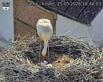 Capi_Dubne_20260525_184003.jpg