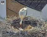 Capi_Dubne_20260525_185503.jpg