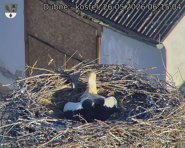 preload