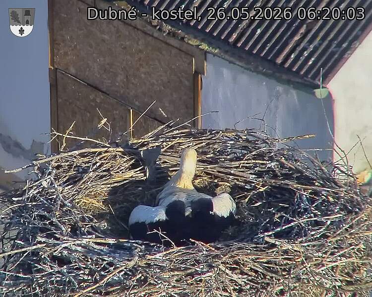preload