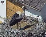 Capi_Dubne_20260526_123503.jpg
