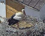 Capi_Dubne_20260526_142502.jpg