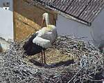 Capi_Dubne_20260526_143004.jpg