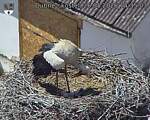 Capi_Dubne_20260526_143503.jpg