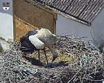 Capi_Dubne_20260526_144502.jpg