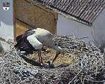 Capi_Dubne_20260526_150503.jpg