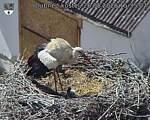 Capi_Dubne_20260526_153502.jpg