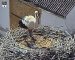 Capi_Dubne_20260526_162003.jpg