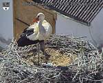 Capi_Dubne_20260526_162503.jpg