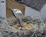 Capi_Dubne_20260526_164002.jpg